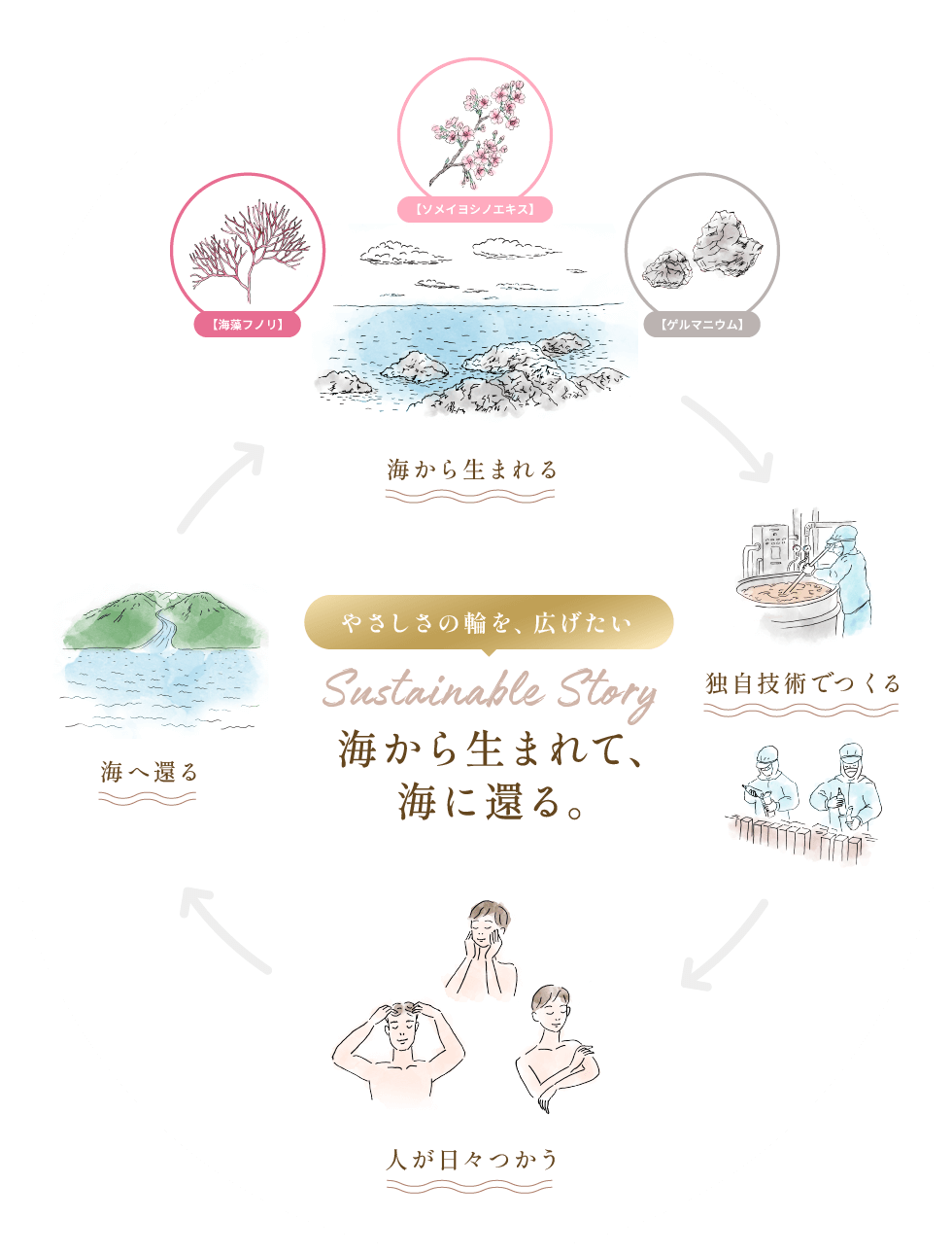 やさしさの輪を、広げたい。海から生まれて、海に還る。