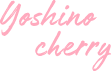 yoshino cherry